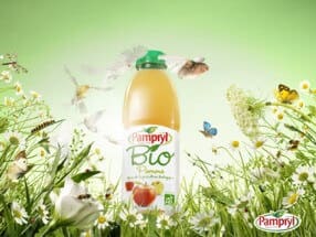 Papillons, oiseaux et libellules en vol pour Pampryl