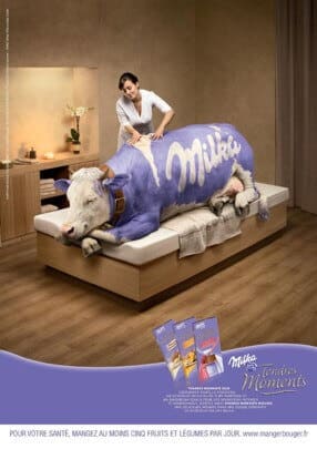 Un massage bien mérité pour notre vache Milka.