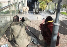 Tournage au coeur du quartier de 