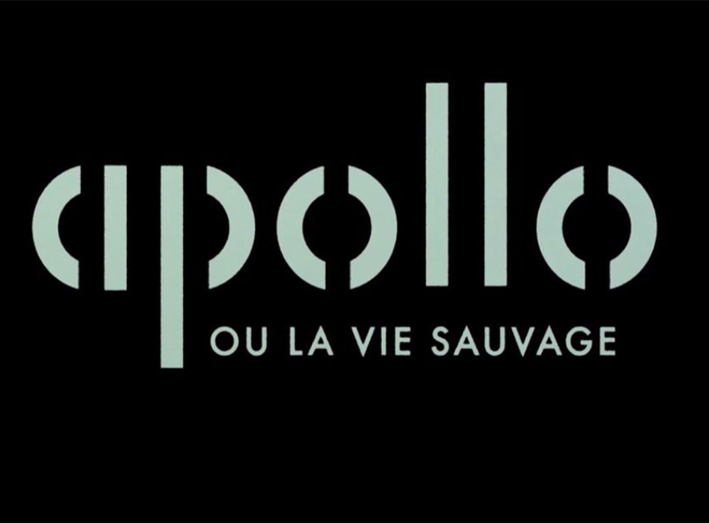 Un chameau dans Apollo ou la vie sauvage.